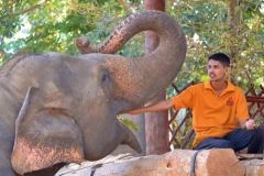 lokacii-elephant-orphanage6-foto4