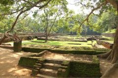 lokacii-sigiriya-galereya4-foto4