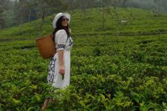 lokacii-tea-plantations6-foto3